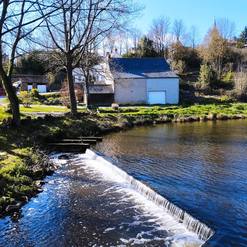 Étang du Bas du Tertre 3