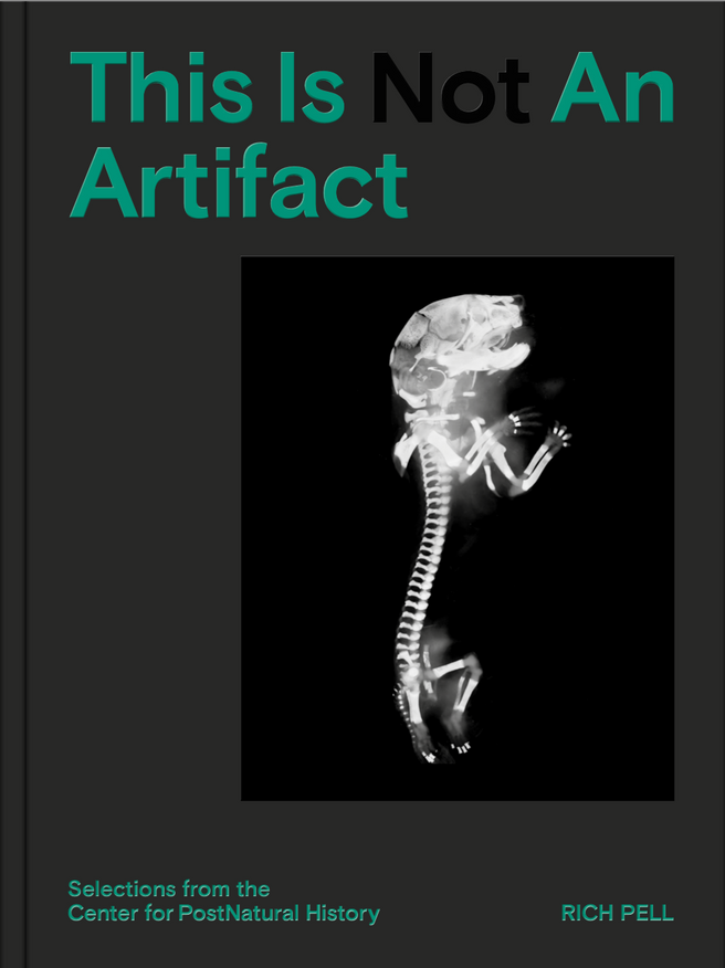 This Is Not An Artifact - Book Launch + Conversation with Rich Pell 1
