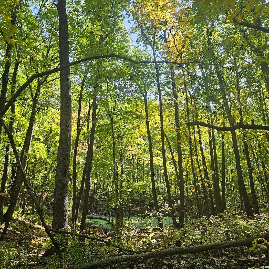 Black Pond Woods Nature Area