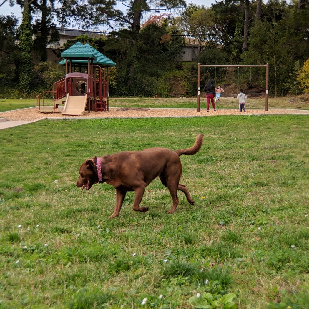 Millbrae Meadows Park 3