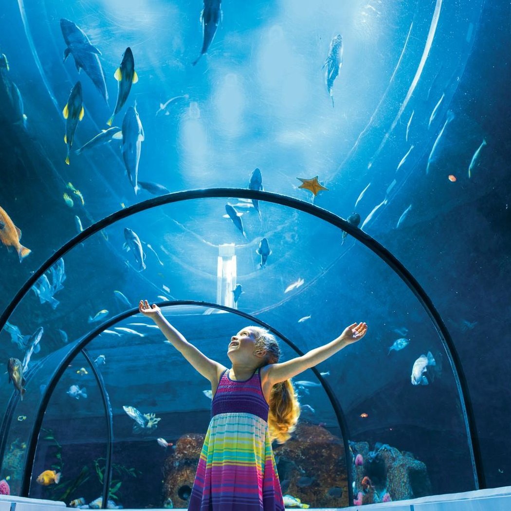 Aquarium of Quebec 1