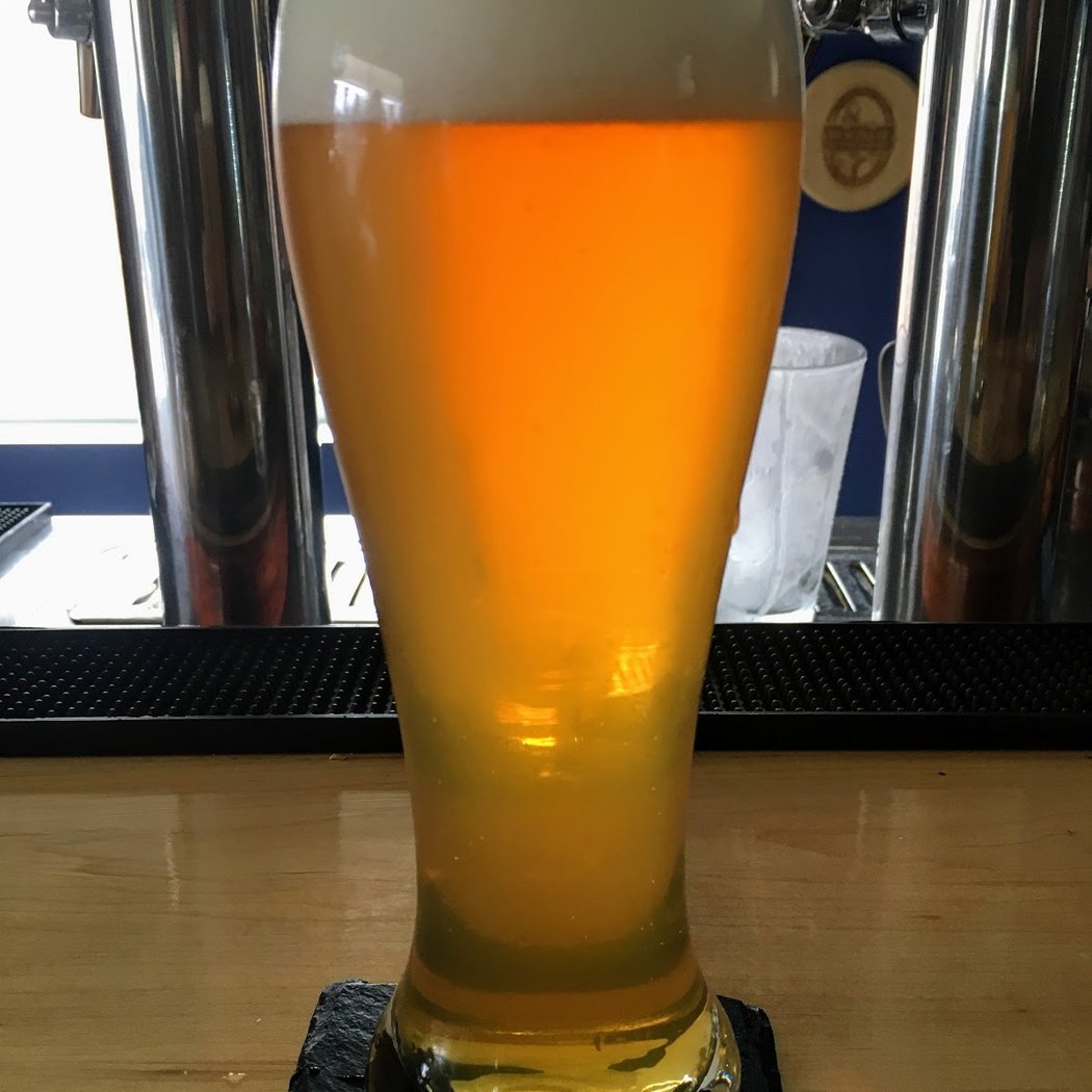New Paltz Brewing Company (Pfälzerbräu) 3