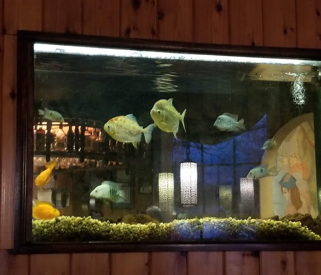 Coppola's Italian American Bistro 2