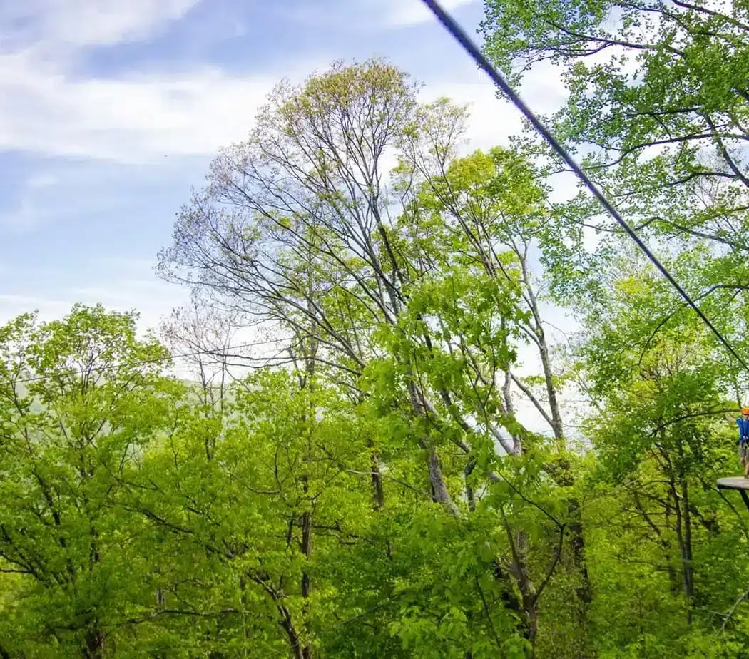 The Gorge Zipline 2