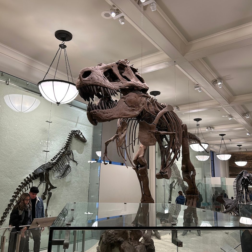 81 St - Museum of Natural History 3