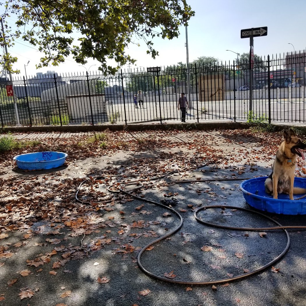 Sherry Dog Run 1