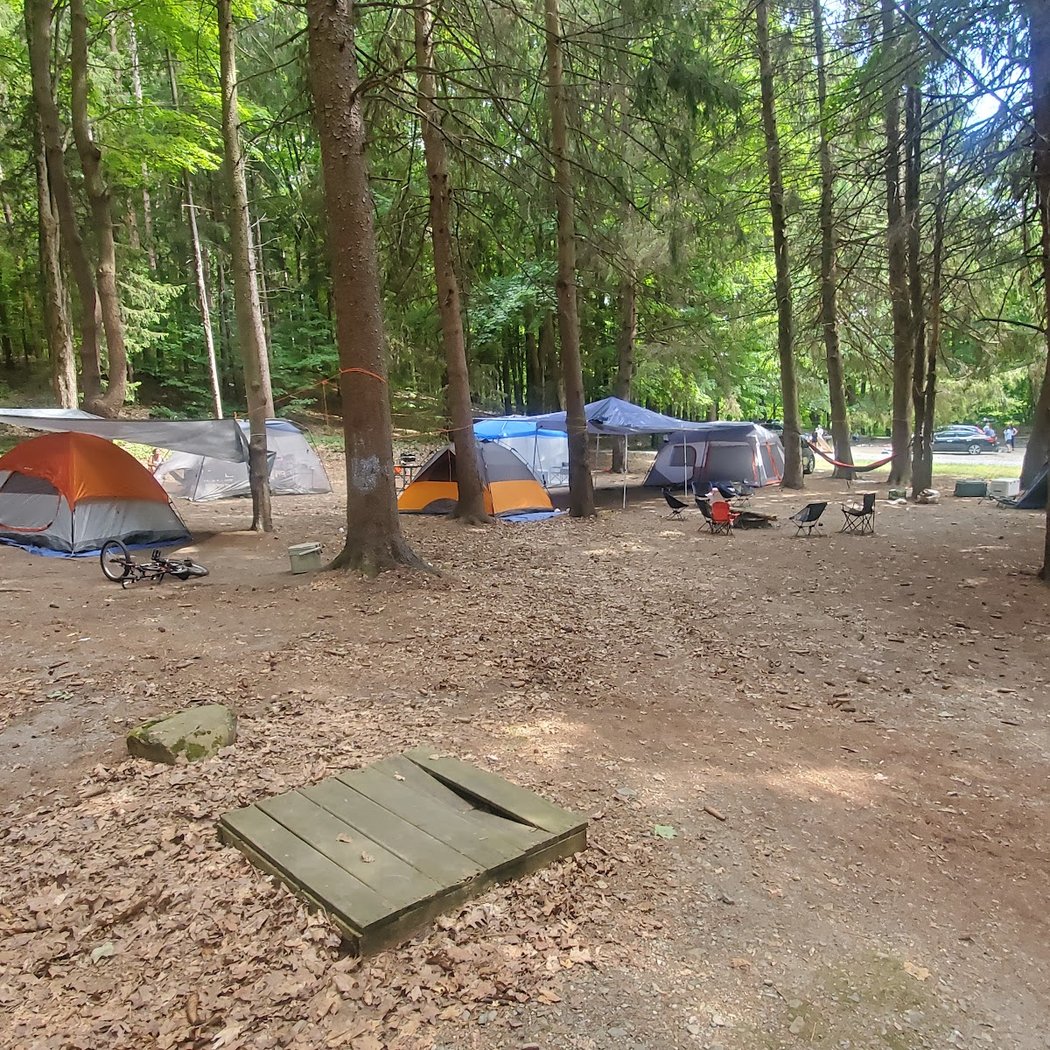 Rudd Pond Activities 3