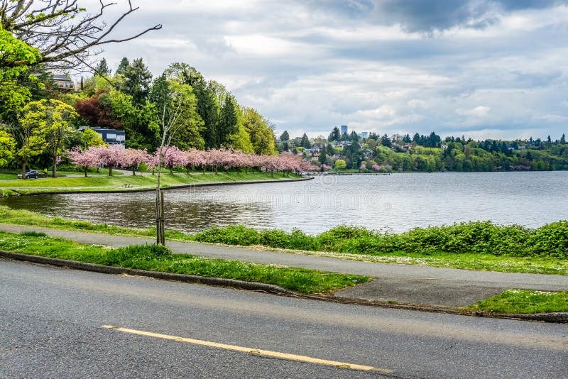 Lake Washington Boulevard Bicycle Weekends 2