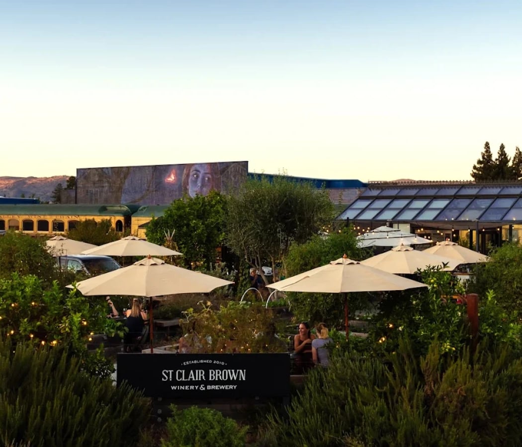 St Clair Brown Winery & Brewery 4