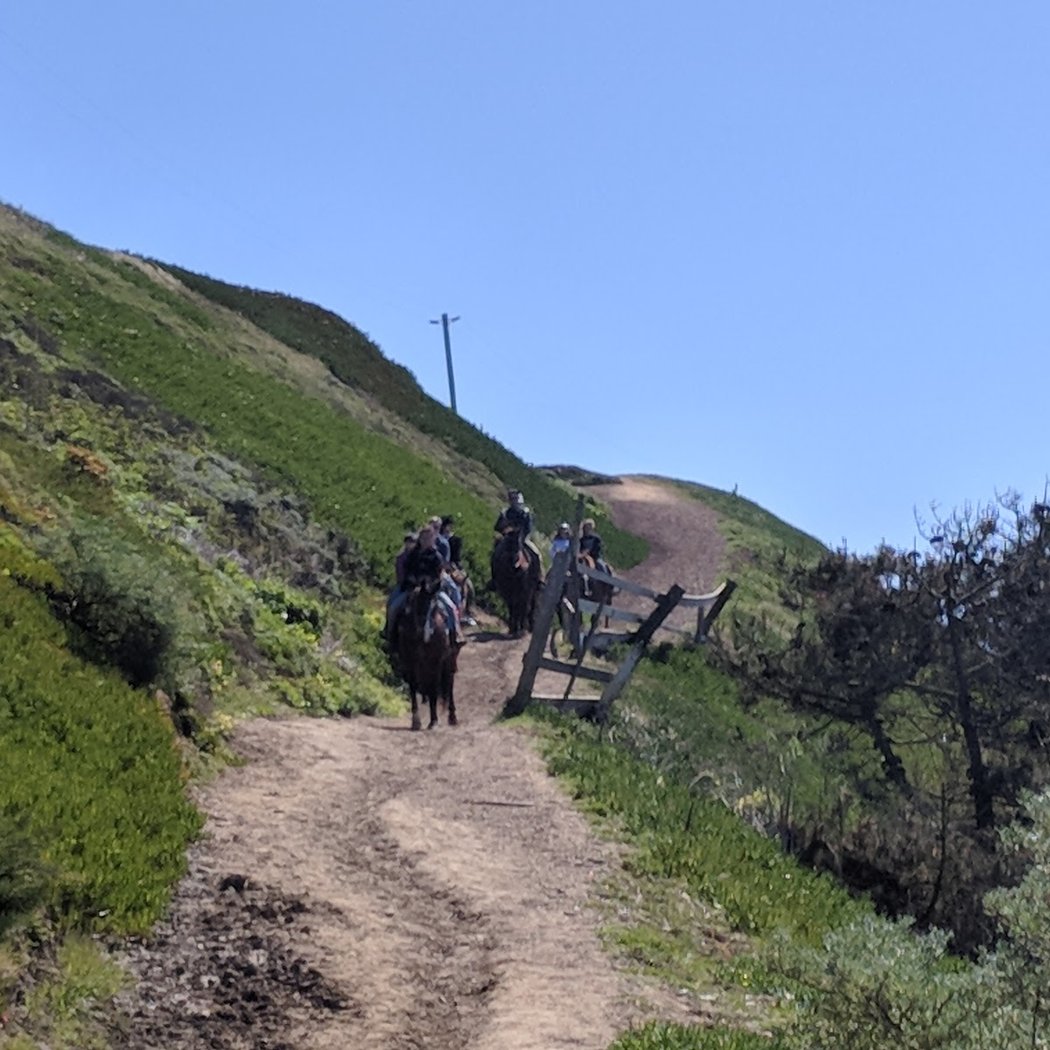 Fort Funston Road 3