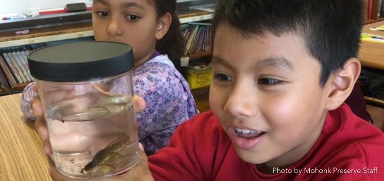 Nature Explorers: Pond Party 1