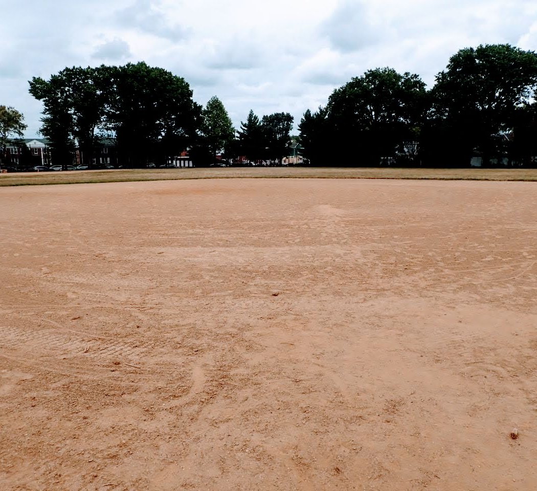 Flushing Fields 2