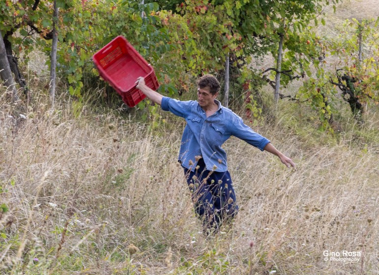 Sogni al campo