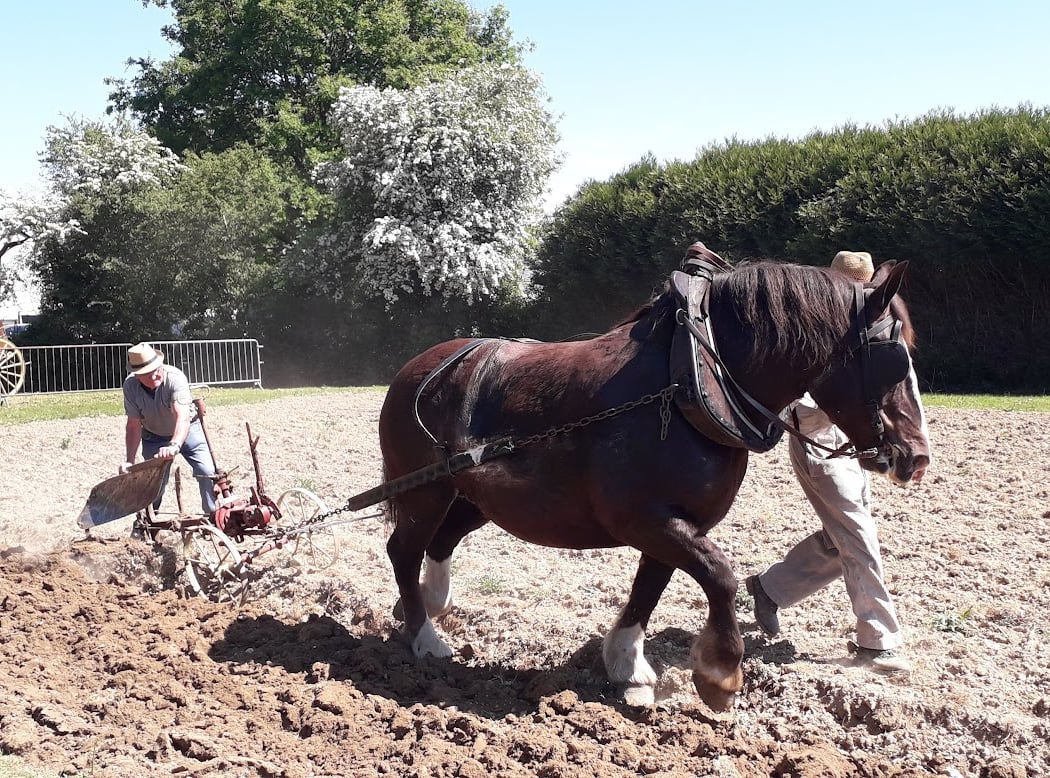 Ecomusée Rural du Pays Nantais 1