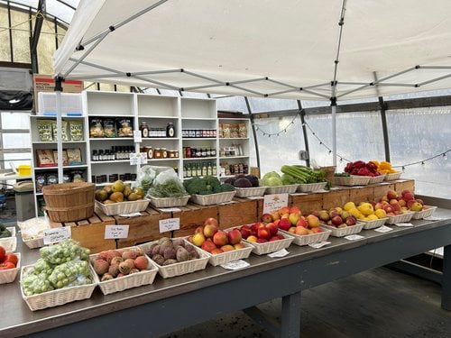 Under the Sun Farm 1