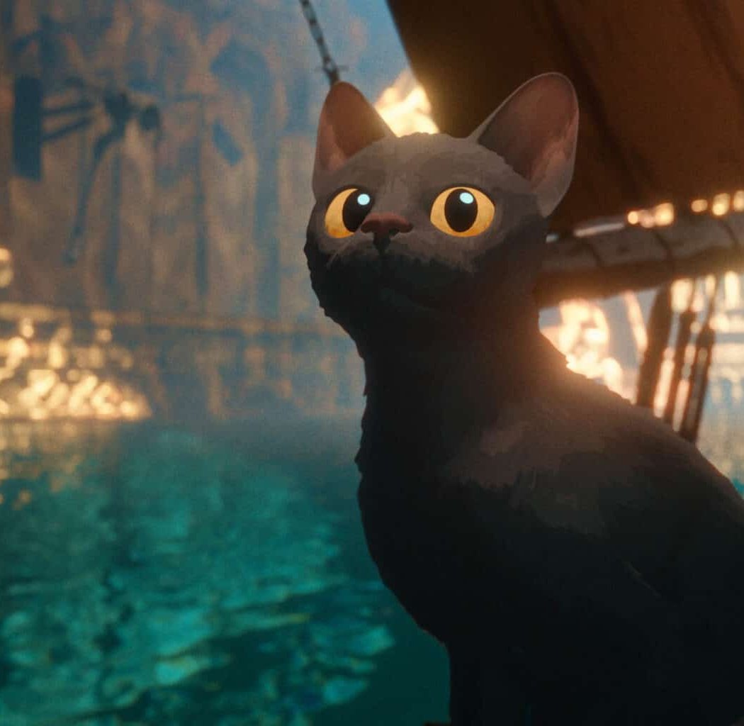 Flow, le chat qui n’avait plus peur de l’eau 1