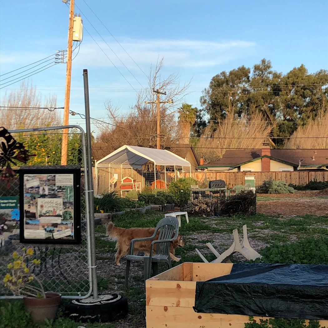 Grateful Gardens 3