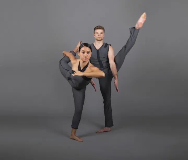 Dana Tai Soon Burgess Dance Company - Vectors