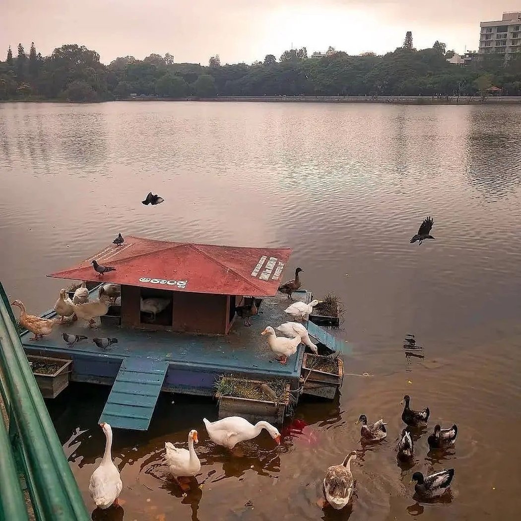 Malleshwaram 3