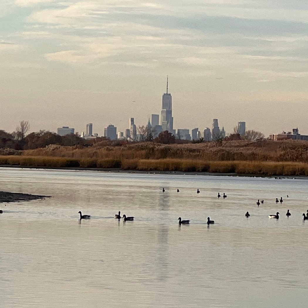 Salt Marsh Nature Trail park 3