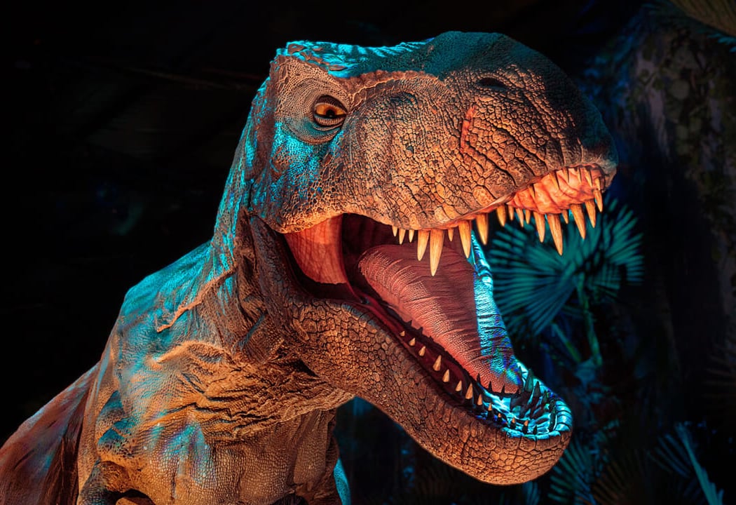 Jurassic World: The Experience 1