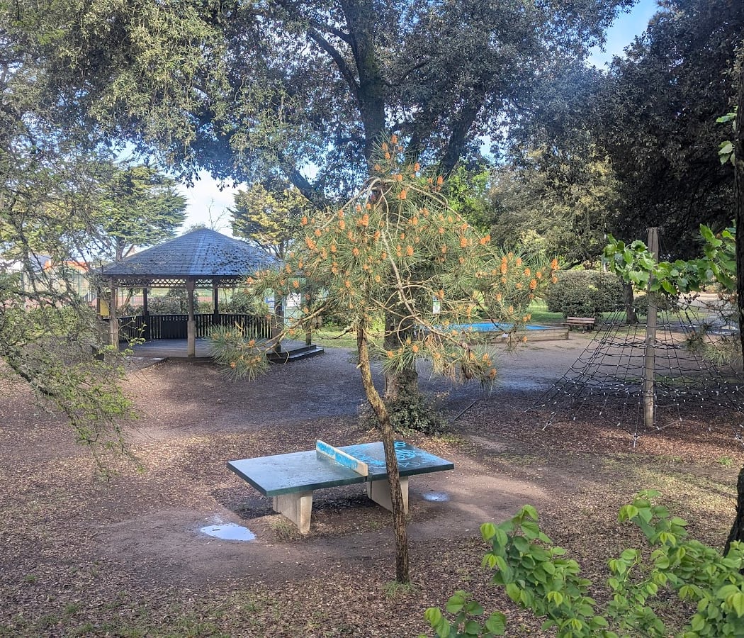 Parc du Petit Bois 4