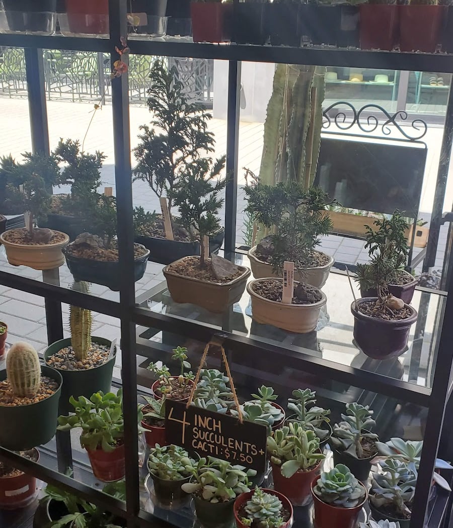 Plant, Play & Jam Kids Workshop 3
