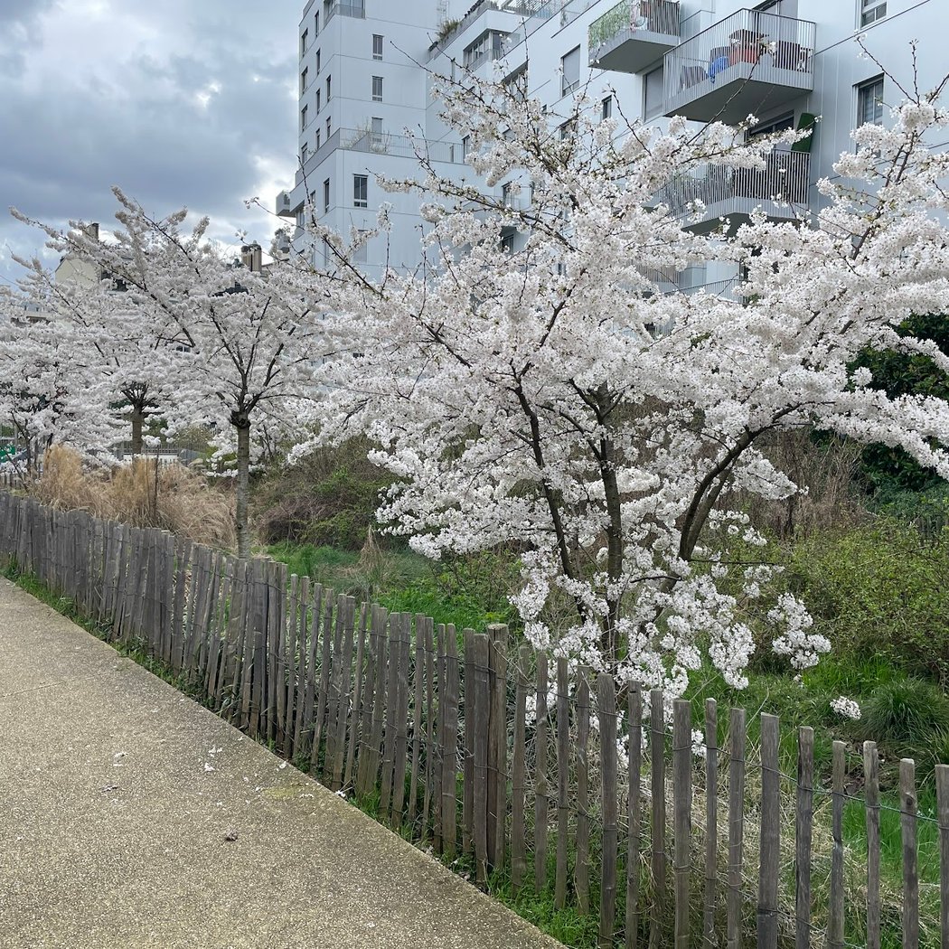 Jardin du Point du Jour 2