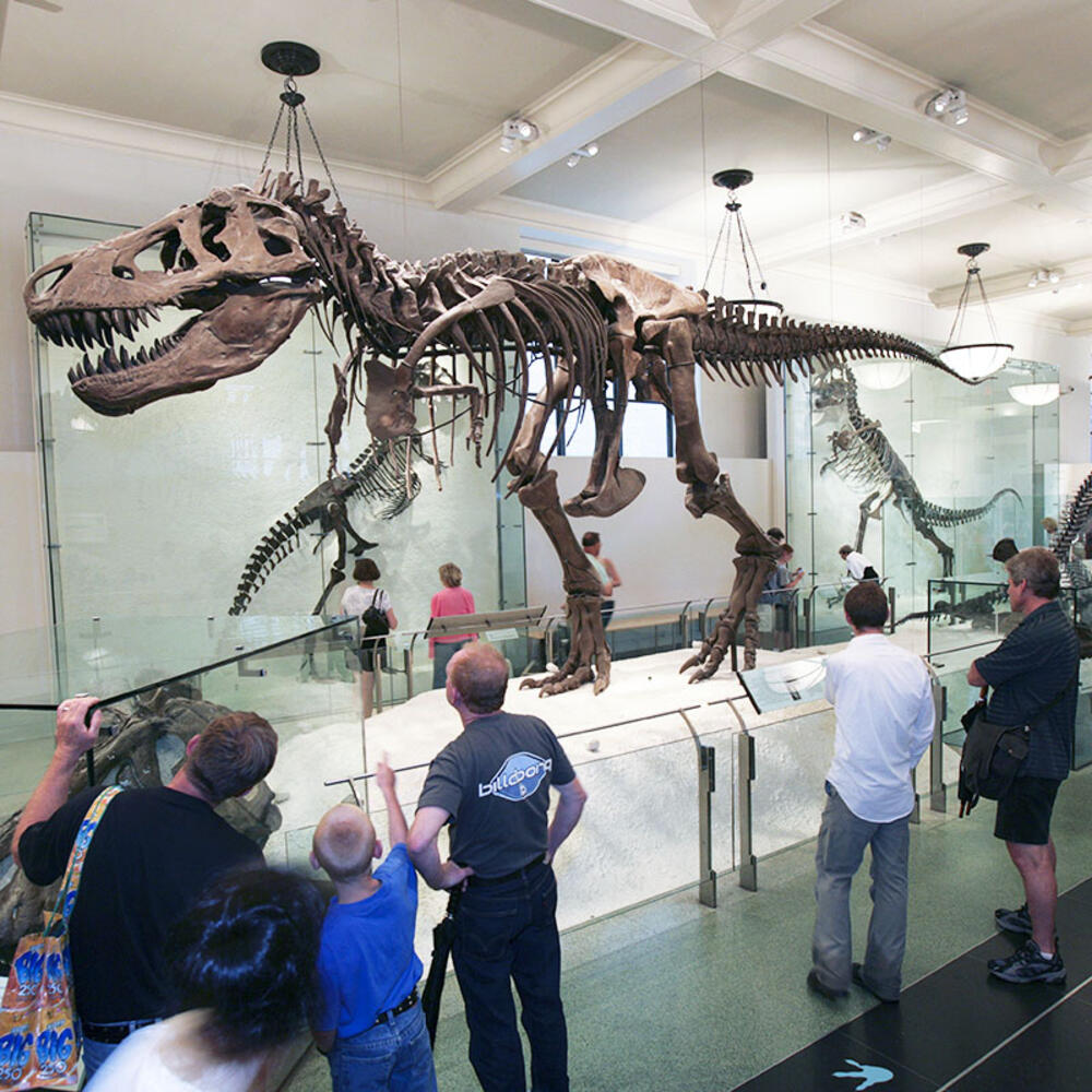 Impact: The End of the Age of Dinosaurs 2