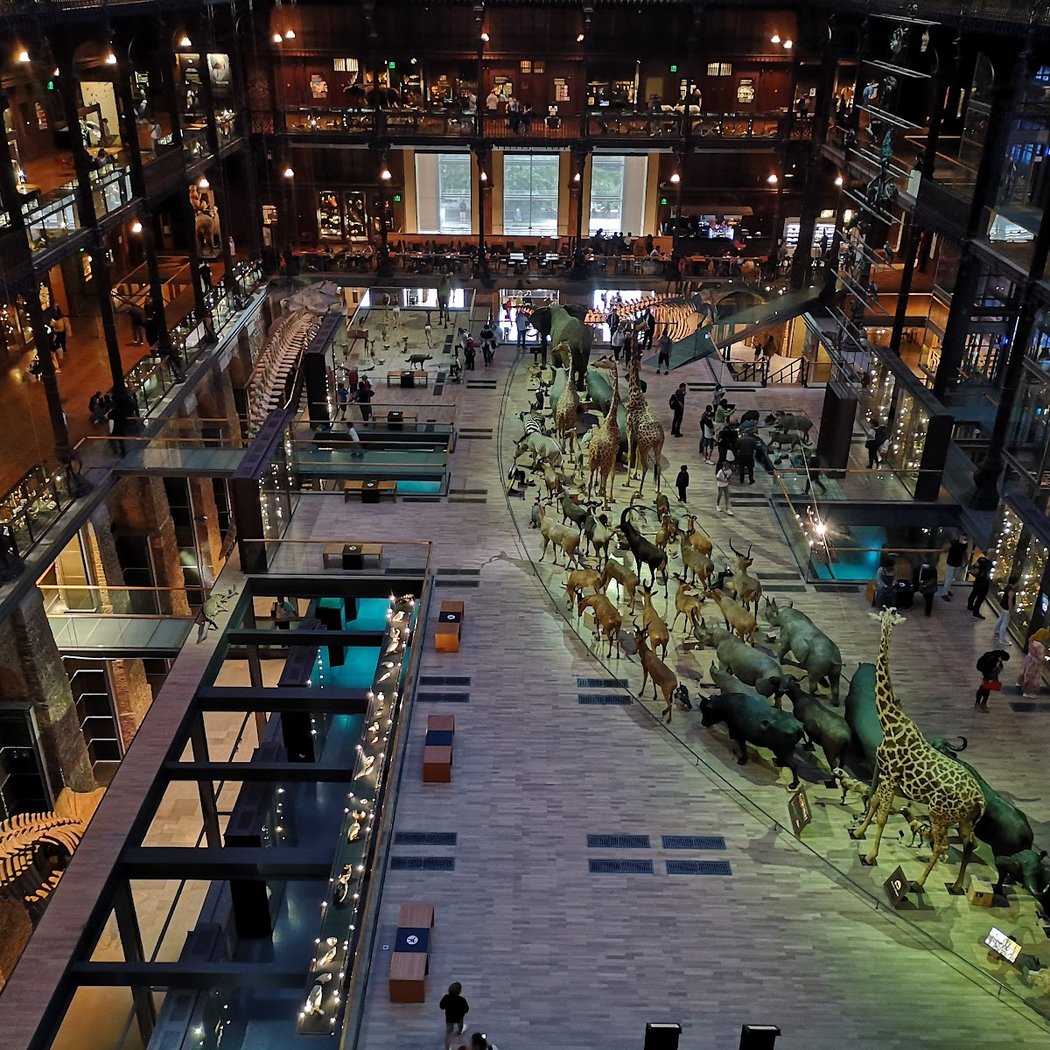 Le Muséum fête ses 400 ans 3