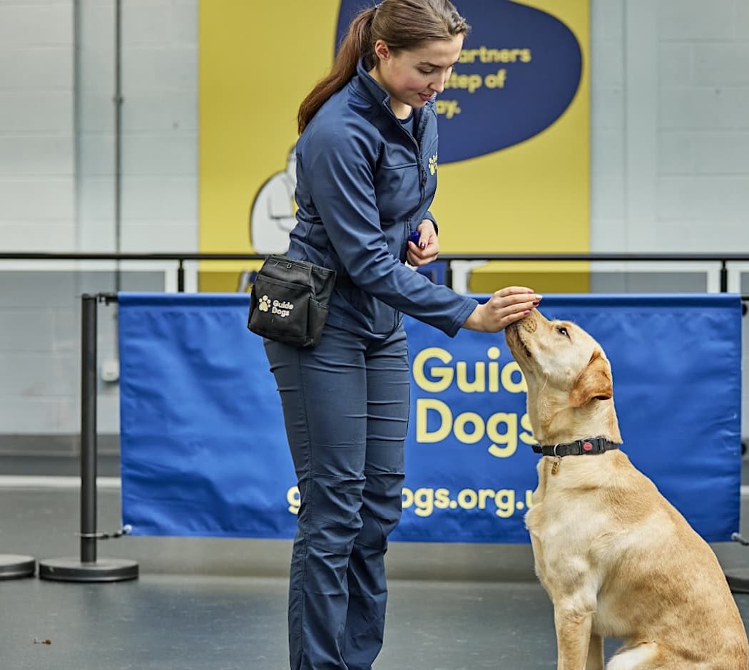 Guide Dogs Classic Experience 1