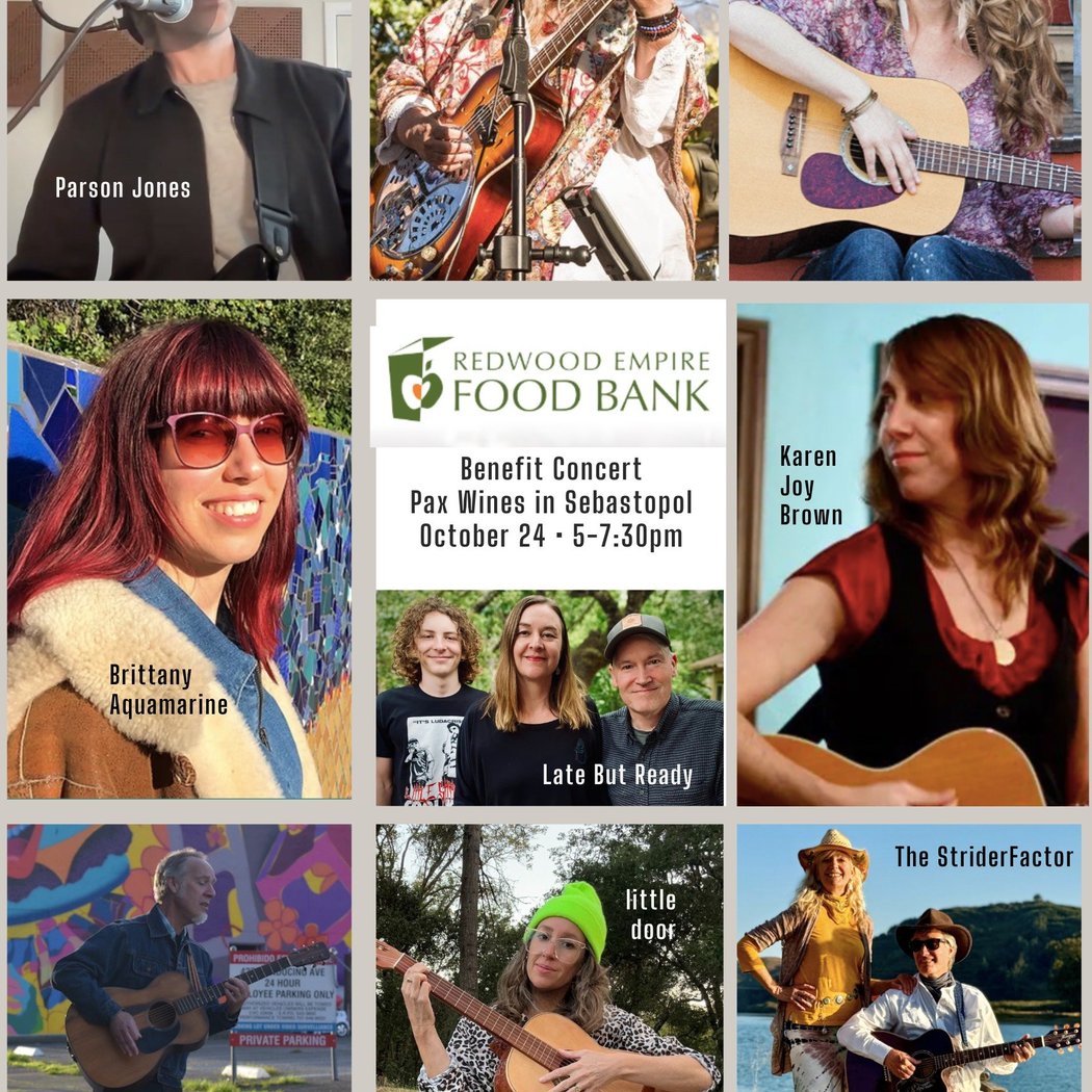 Benefit Concert - Redwood Empire Food Bank 1