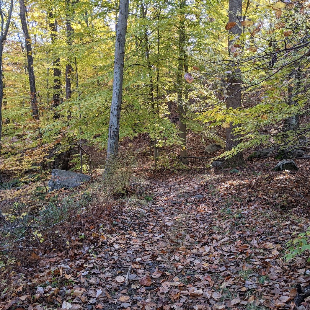 1777 Trail Trailhead 2