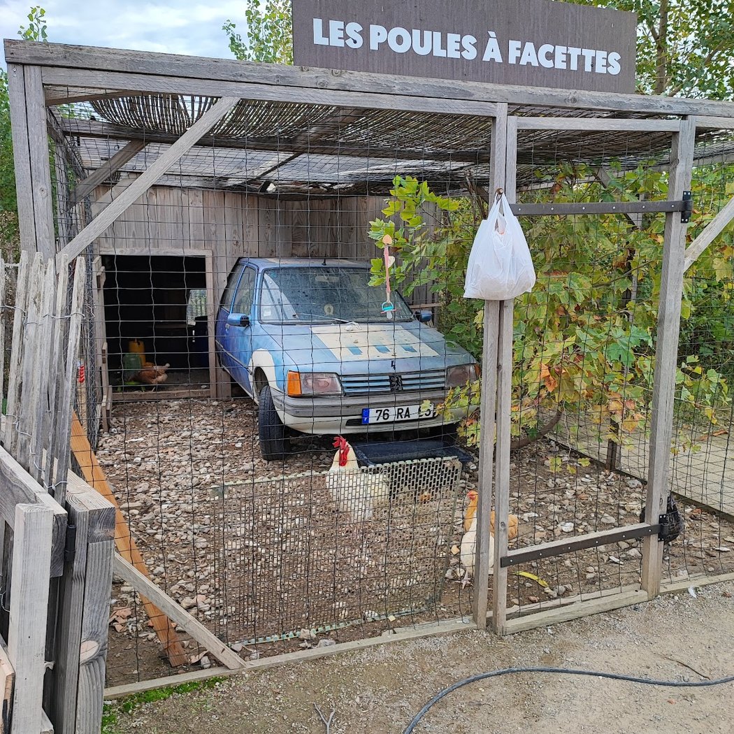 Le vin de mes amis 2