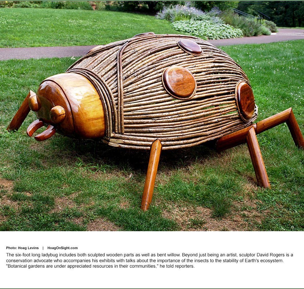 David Rogers: Big Bugs 1