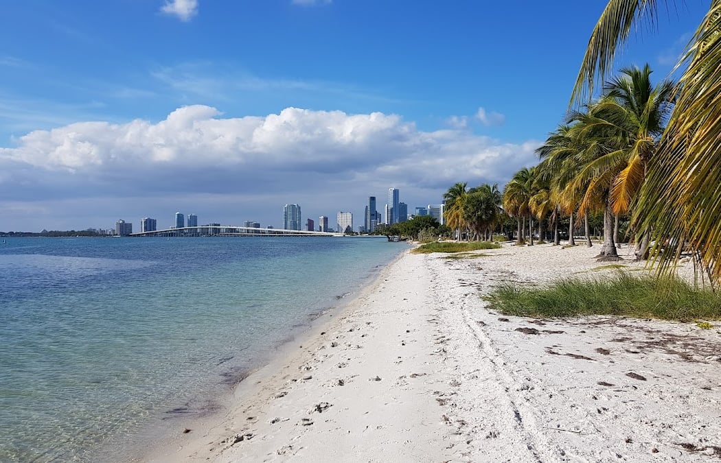 81st Anniversary Beach Cleanup 3