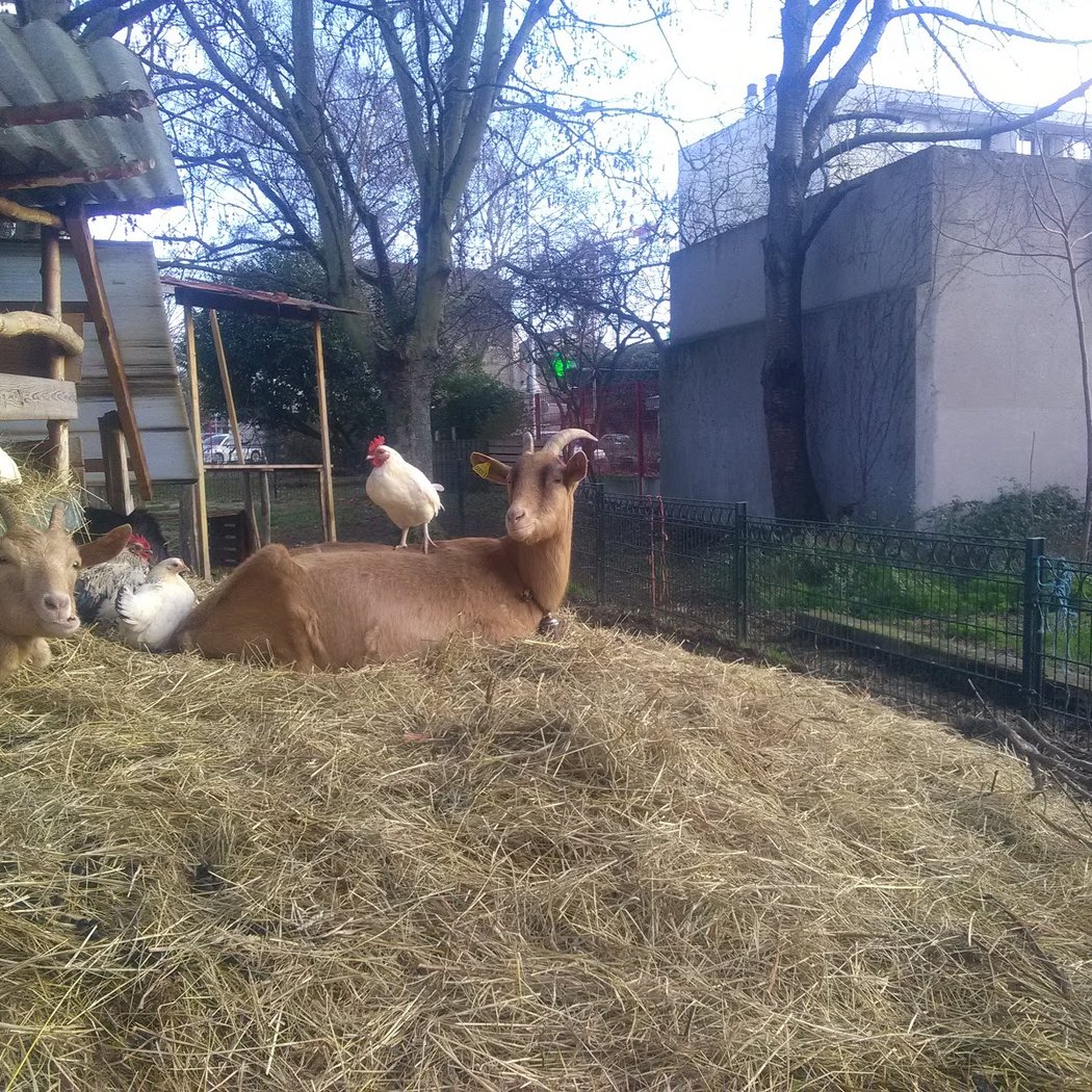 Bergerie des Malassis 2