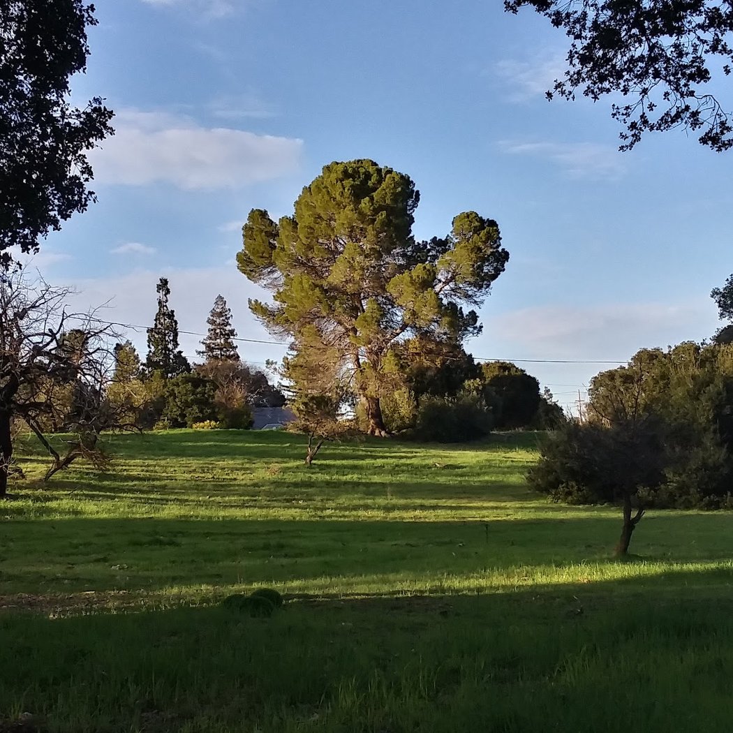 Friendship Park 3