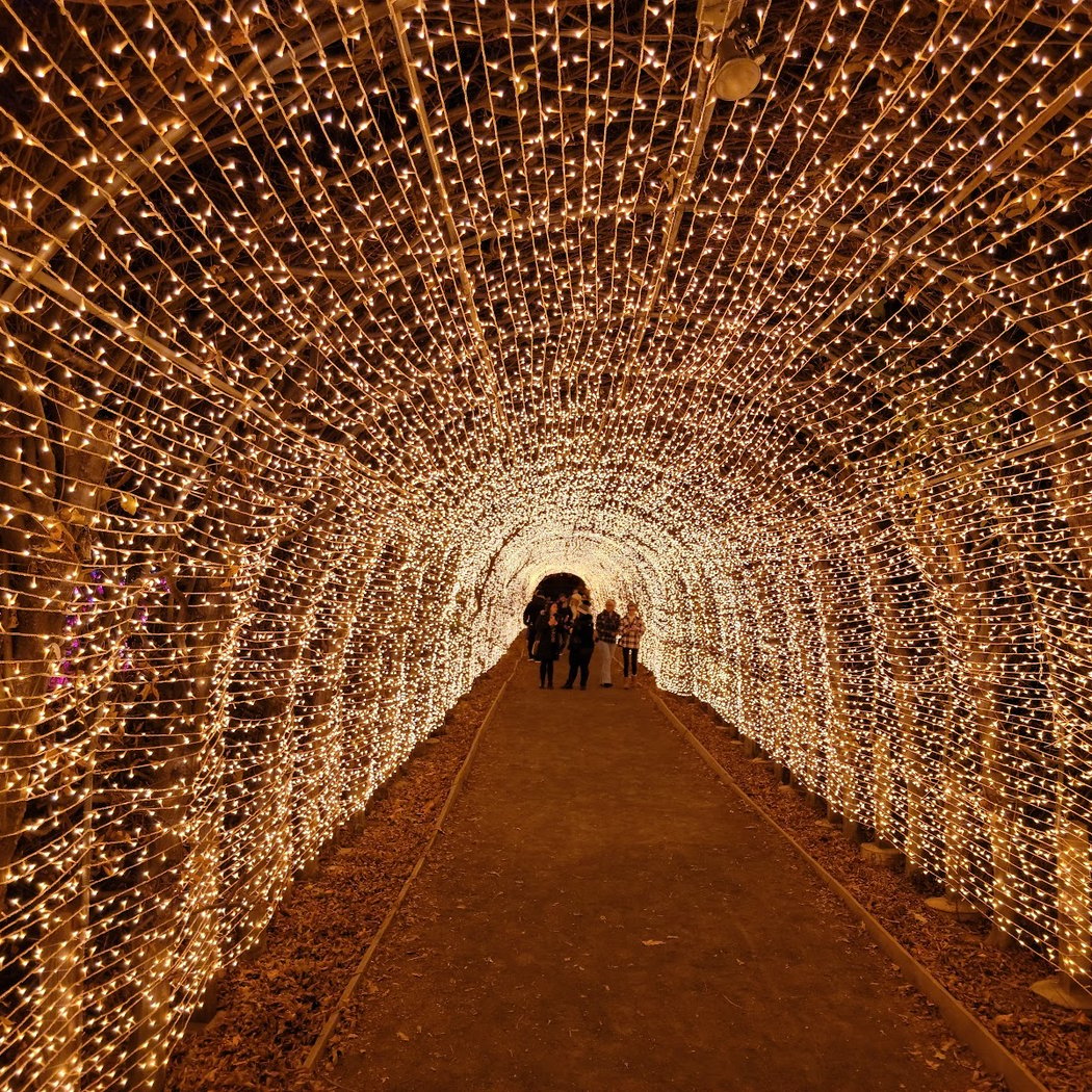 Winter Lantern Festival 1