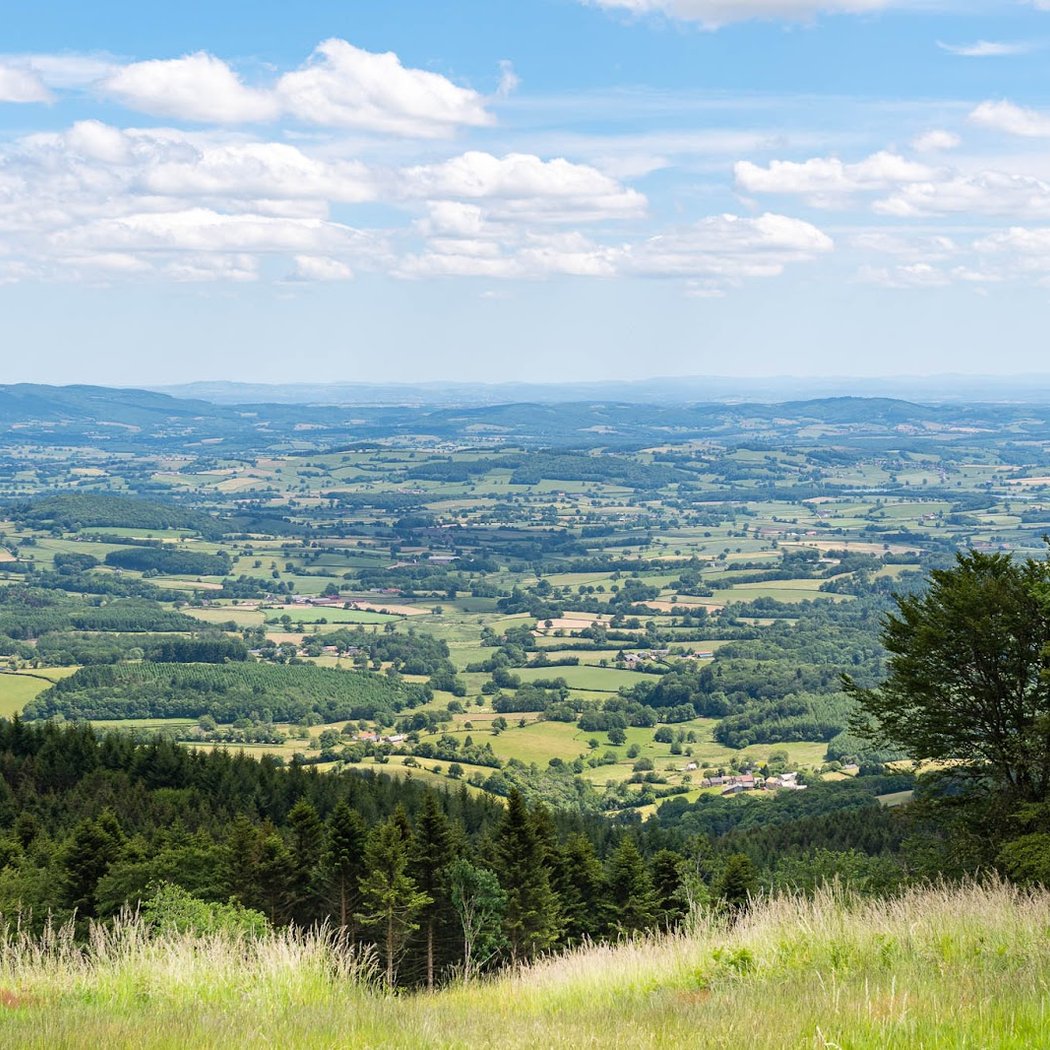 Mont Beuvray 3