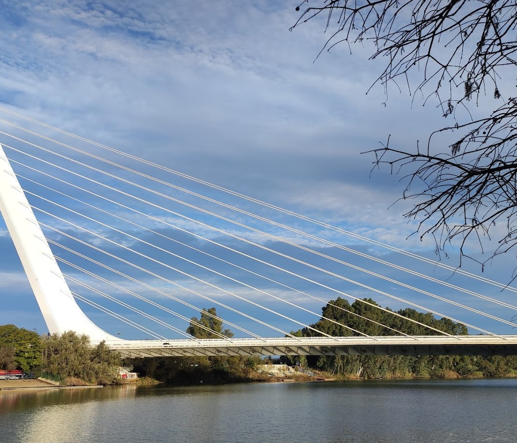 Alamillo Bridge 3