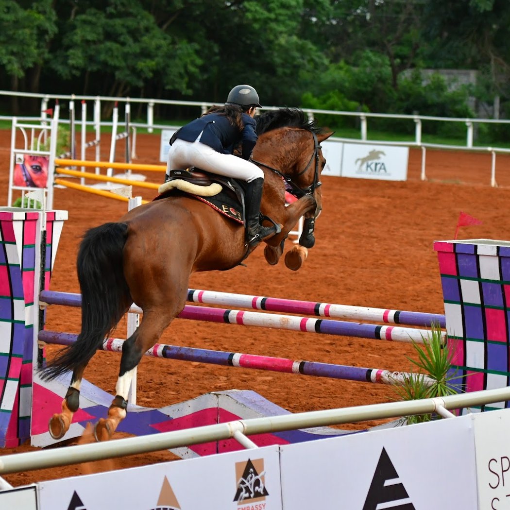 Embassy International Riding School 1