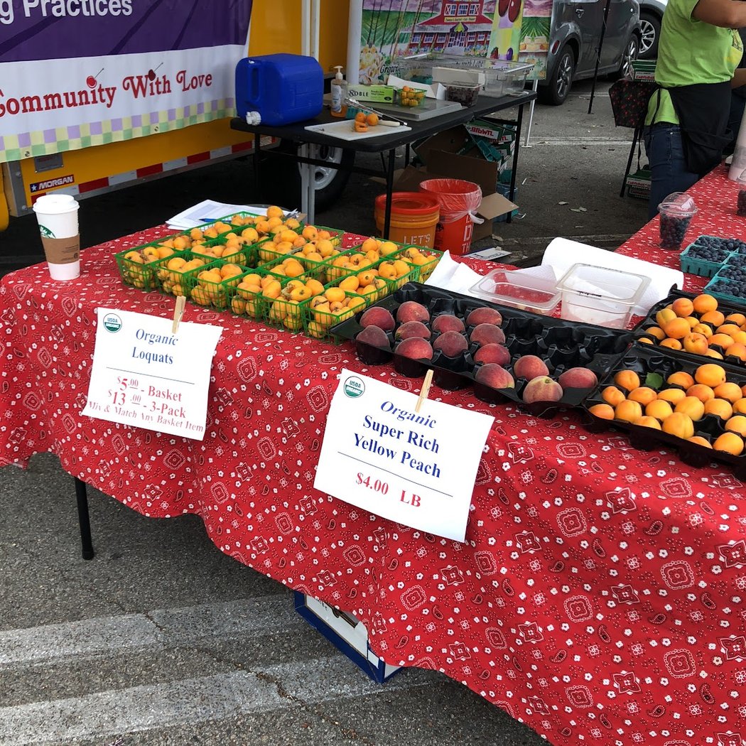 Pasadena Victory Park Farmer's Market 4