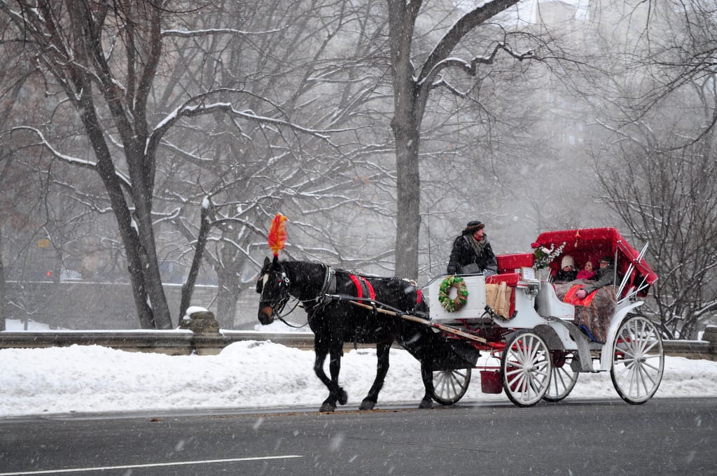 NYC Central Park Horse Carriage Rides since 1858 1