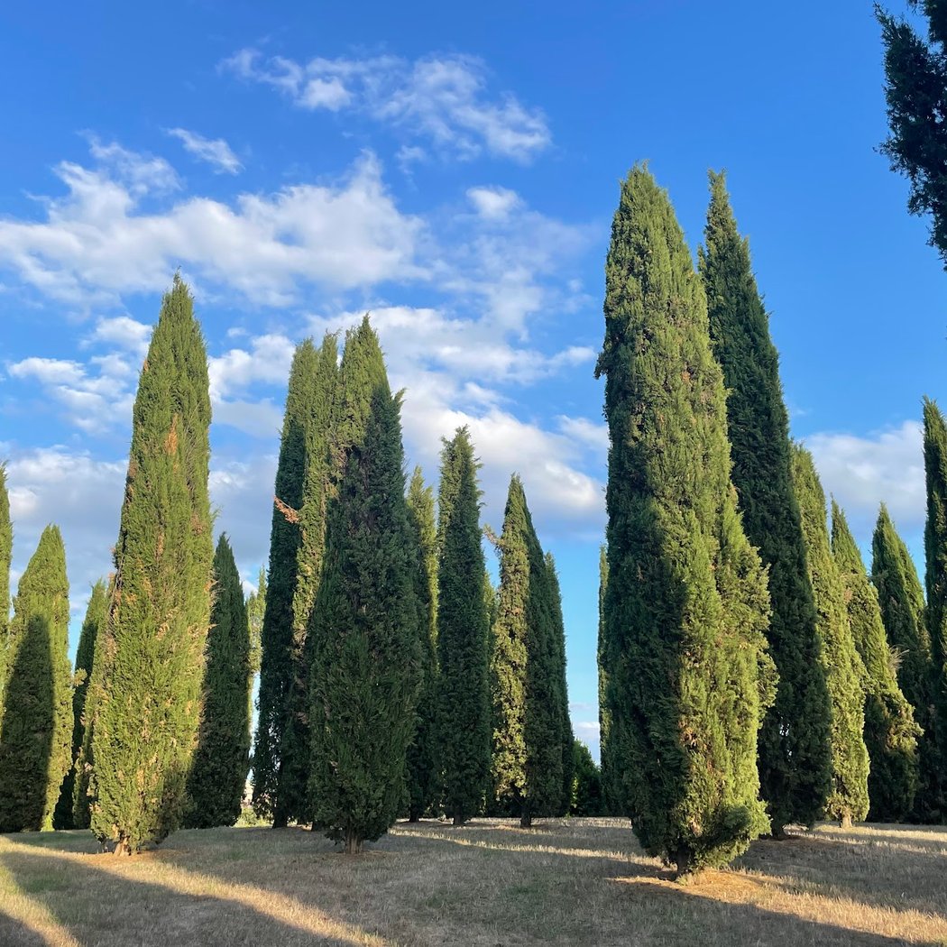 Parco di Serravalle 3