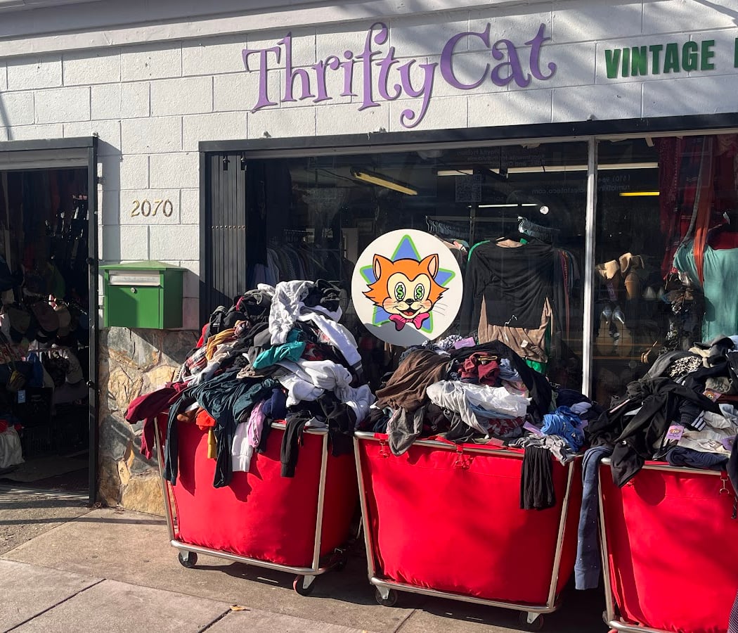 ThriftyCat 2