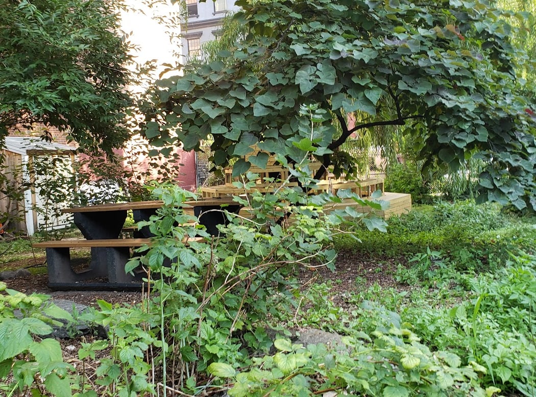 El Jardin del Paraiso 3
