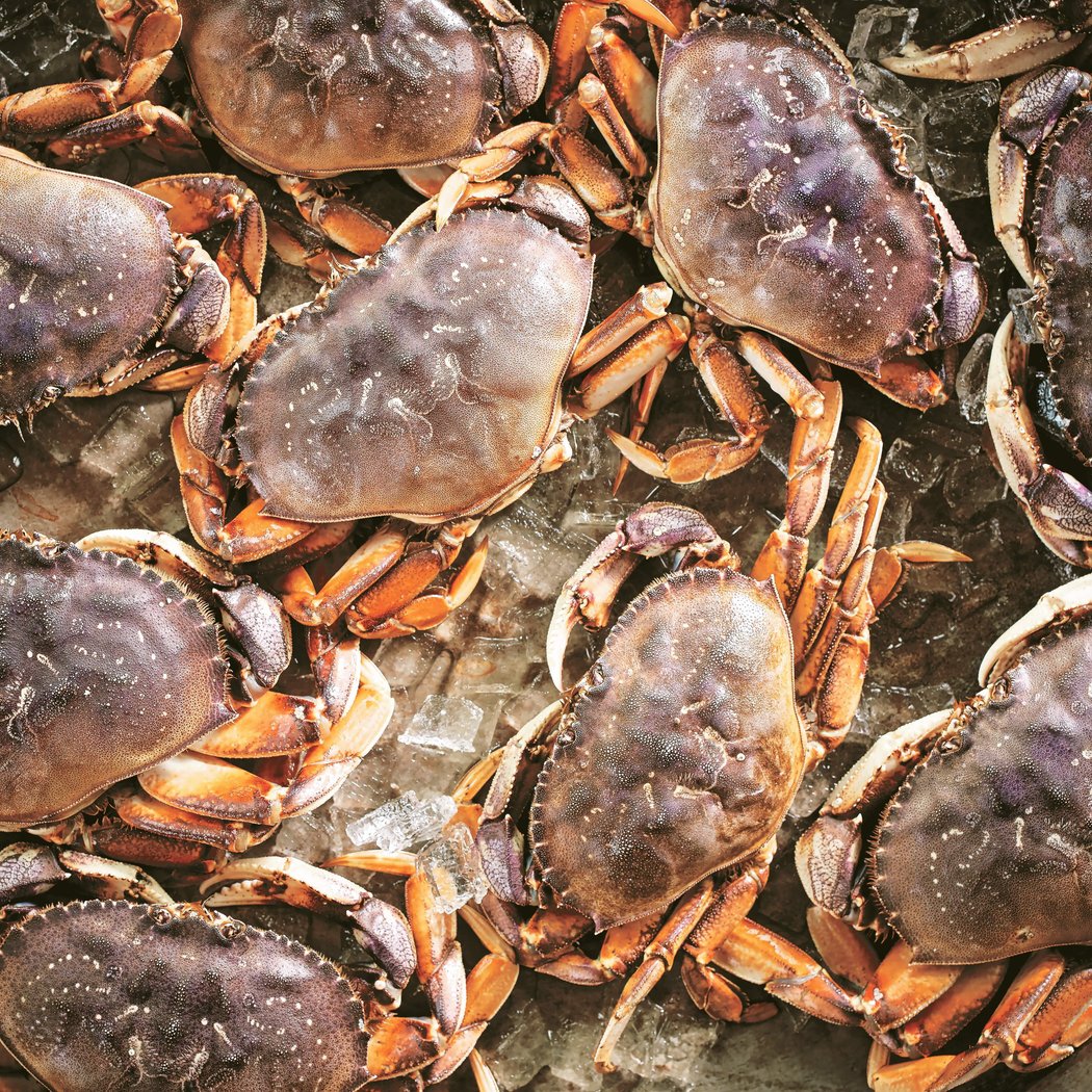 21st Annual Chardonnay and Crab Feast 1