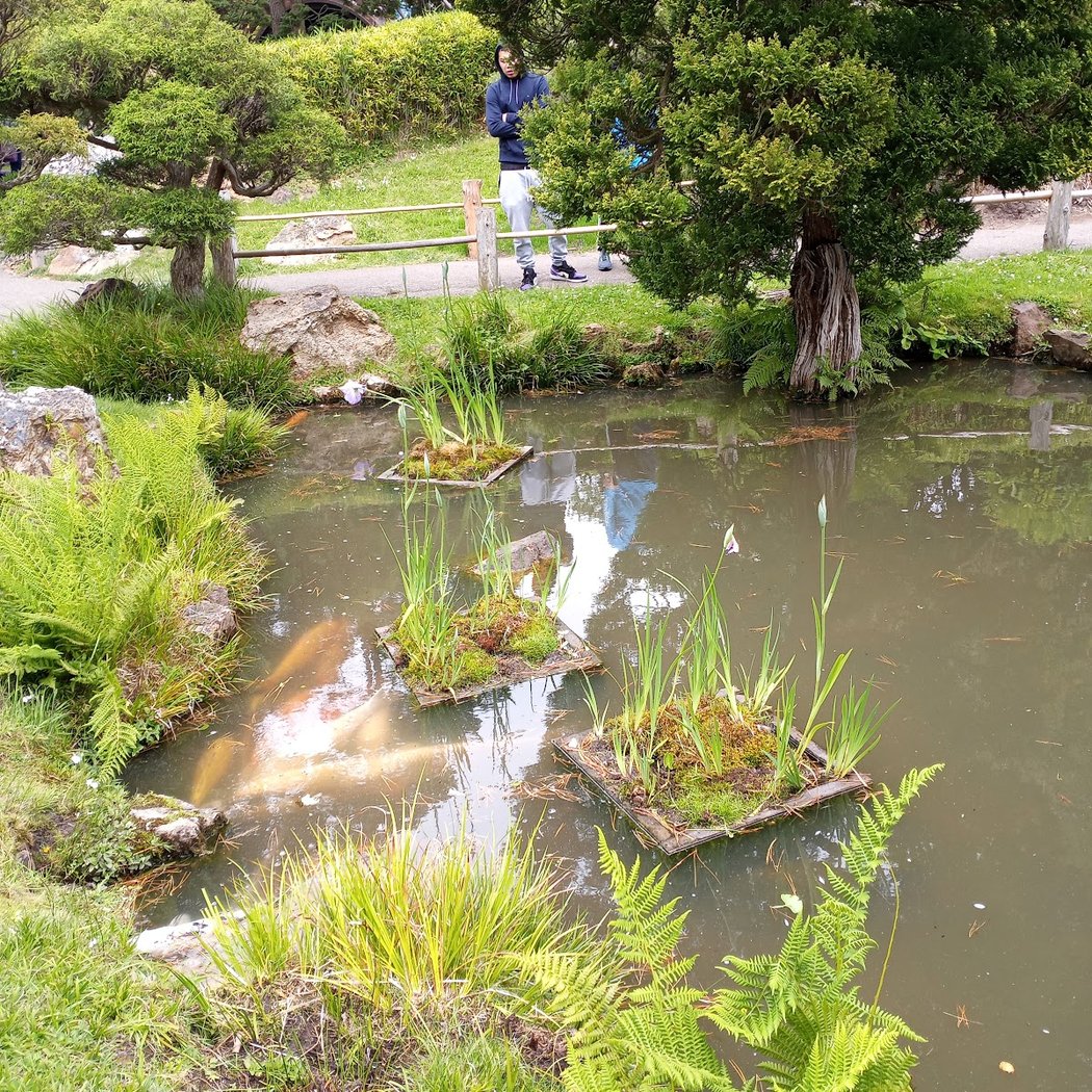 Japanese Tea Garden’s Free Admission Hour 2