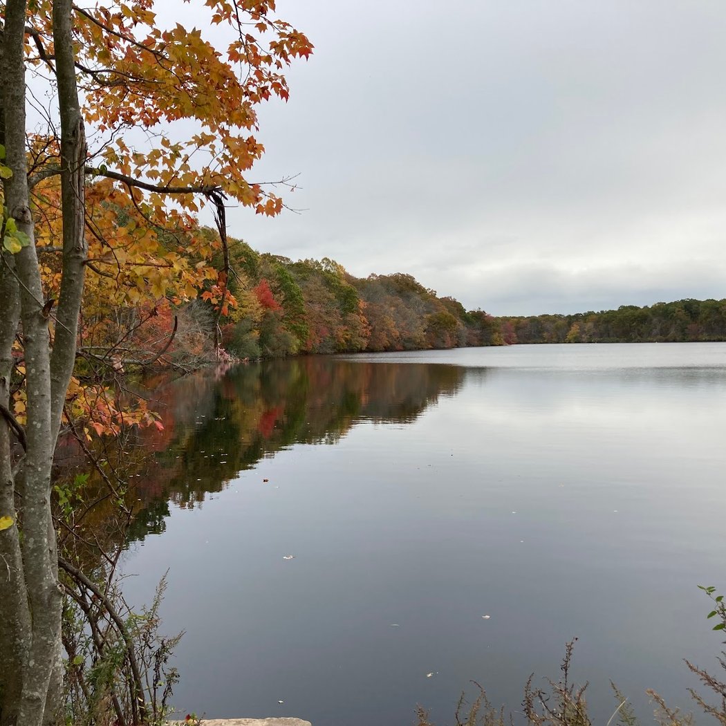 Stump Pond 2